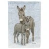 The-store Donkeys Flag Garden Size 1 The-store Donkeys Flag Garden Size -Mayne Store 3e71f40508db8c46 9437 w800 h800 b1 p0