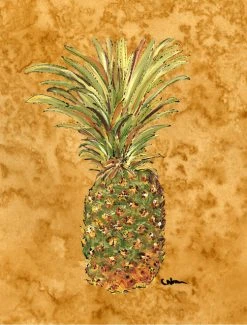 The-store Pineapple Flag Canvas, House Size
