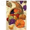 Breeze Decor Harvest & Autumn Cornucopia 2-Sided Impression Garden Flag 1 Breeze Decor Harvest & Autumn Cornucopia 2-Sided Impression Garden Flag -Mayne Store home design 365