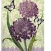 Breeze Decor Floral Iberis 2-Sided Vertical Impression House Flag 2 Breeze Decor Floral Iberis 2-Sided Vertical Impression House Flag -Mayne Store home design 371