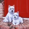 The-store Red Door Westies Flag Garden Size BDBA0348GF 2 The-store Red Door Westies Flag Garden Size BDBA0348GF -Mayne Store home design 378
