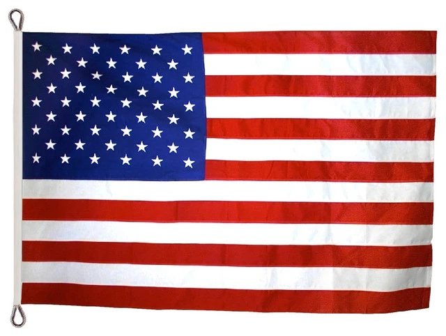 FlagLine USA, 8'x12' Heavy Duty 2-Ply Polyester Flag 3 FlagLine USA, 8'x12' Heavy Duty 2-Ply Polyester Flag