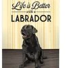 Breeze Decor Pets Life Is Better Lab 2-Sided Vertical Impression House Flag 2 Breeze Decor Pets Life Is Better Lab 2-Sided Vertical Impression House Flag -Mayne Store home design 409
