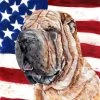 The-store Shar Pei With American Flag Usa Flag Canvas 2 The-store Shar Pei With American Flag Usa Flag Canvas -Mayne Store home design 437