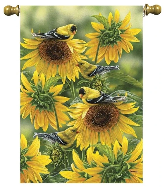 Dicksons Garden Summer Beauties 3 Dicksons Garden Summer Beauties