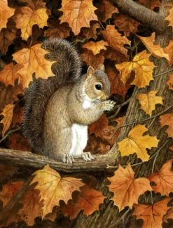 The-store Autumn Grey Squirrel By Daphne Baxter Flag Canvas House Size BDBA0388CHF