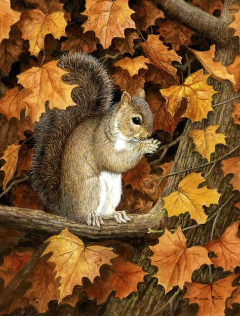 The-store Autumn Grey Squirrel By Daphne Baxter Flag Canvas House Size BDBA0388CHF 3 The-store Autumn Grey Squirrel By Daphne Baxter Flag Canvas House Size BDBA0388CHF