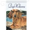 Breeze Decor Pets Dachshund 2-Sided Impression Garden Flag 1 Breeze Decor Pets Dachshund 2-Sided Impression Garden Flag -Mayne Store home design 502