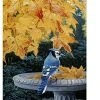 Breeze Decor Birds Autumn Birdbath 2-Sided Vertical Impression House Flag -Mayne Store home design 512