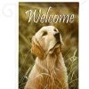 Breeze Decor Pets Yellow Lab 2-Sided Impression Garden Flag 2 Breeze Decor Pets Yellow Lab 2-Sided Impression Garden Flag -Mayne Store home design 515