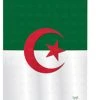 Breeze Decor Algeria 2-Sided Vertical Impression House Flag 2 Breeze Decor Algeria 2-Sided Vertical Impression House Flag -Mayne Store home design 537